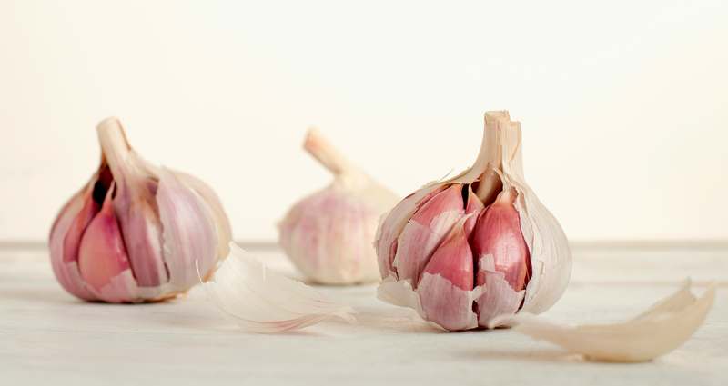 Homepage for Home Improvement Tools & Hardware garlic presses